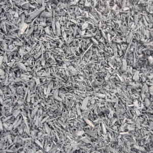 Black-Forest-900×900