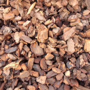 Bounce-Bark-900×900