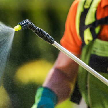 Firewood shed Bug Spray, $45