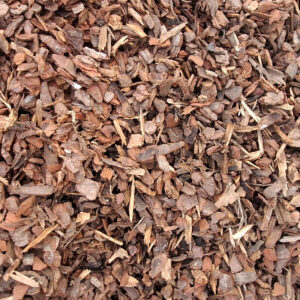 Premium-Chip-900×900