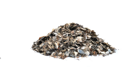 Crushed Mussel Shell